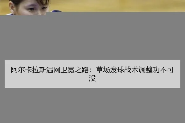 a-er-ka-la-si-wen-wang-wei-mian-zhi-lu-cao-chang-fa-qiu-zhan-shu-tiao-zheng-gong-bu-ke-mei-2-118.jpg